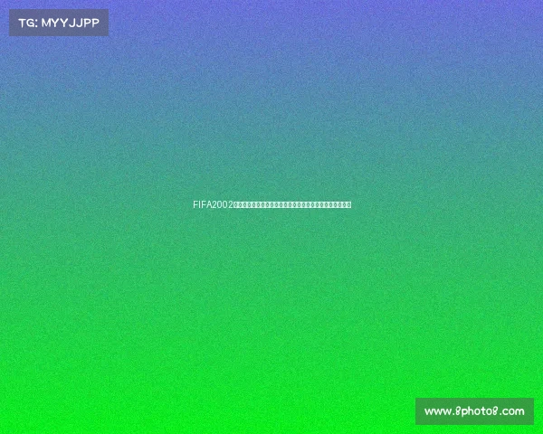 FIFA2002世界杯补丁经典更新安装使用教程大全完整版指南攻略分享